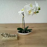 Appartement Lucky Ls01 - Vollausstattung - Zentrum - Grosse Kueche - 2 - Smart-tv *