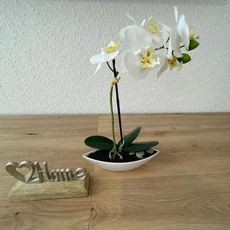 Lejlighed Lucky Ls01 - Vollausstattung - Zentrum - Grosse Kueche - 2 - Smart-tv *
